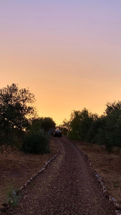 Guadalcanal Casa Rural Arroyo Marco מראה חיצוני תמונה