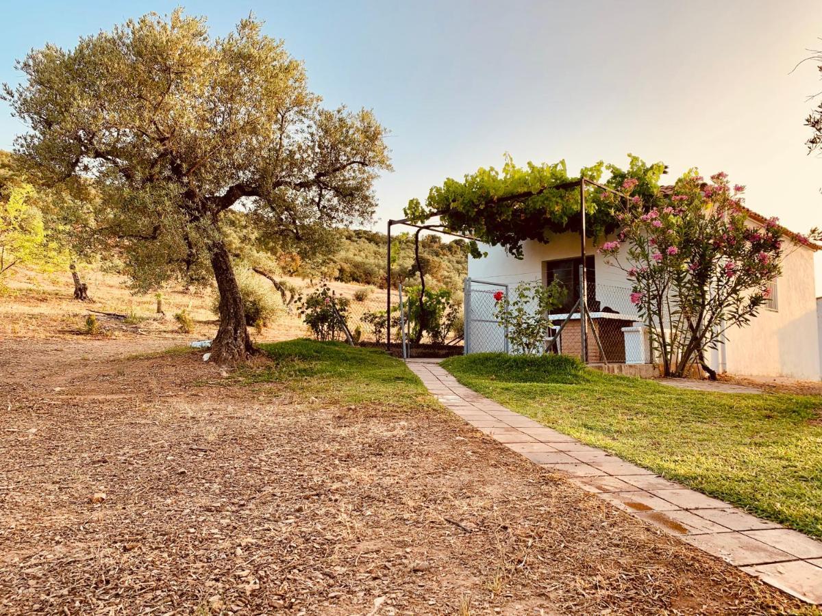 Guadalcanal Casa Rural Arroyo Marco מראה חיצוני תמונה